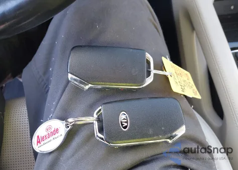 2020 Kia Telluride Ex из США, поврежденный, VIN 5XYP3DHC3LG008149